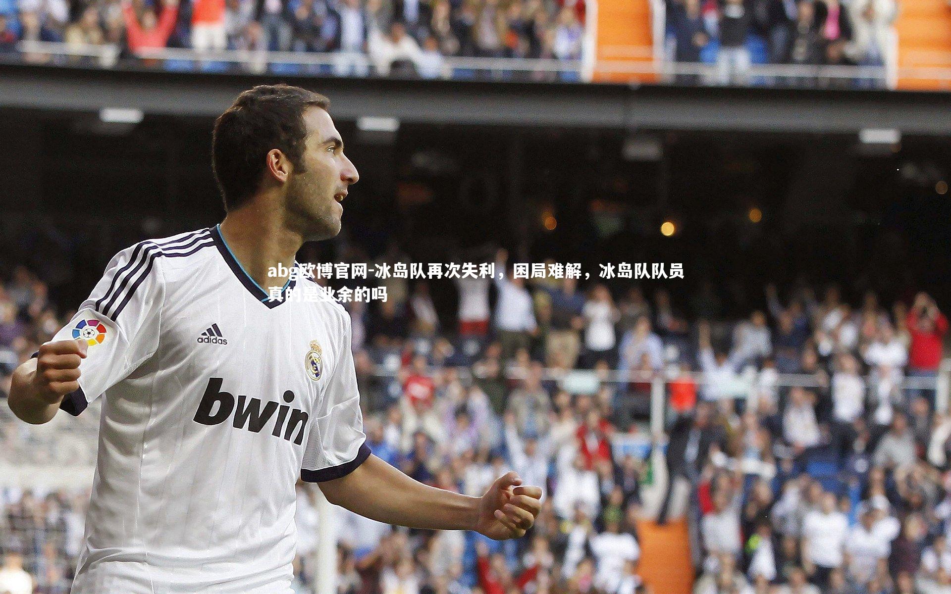 冰岛队再次失利,困局难解,冰岛队队员真的是业余的吗