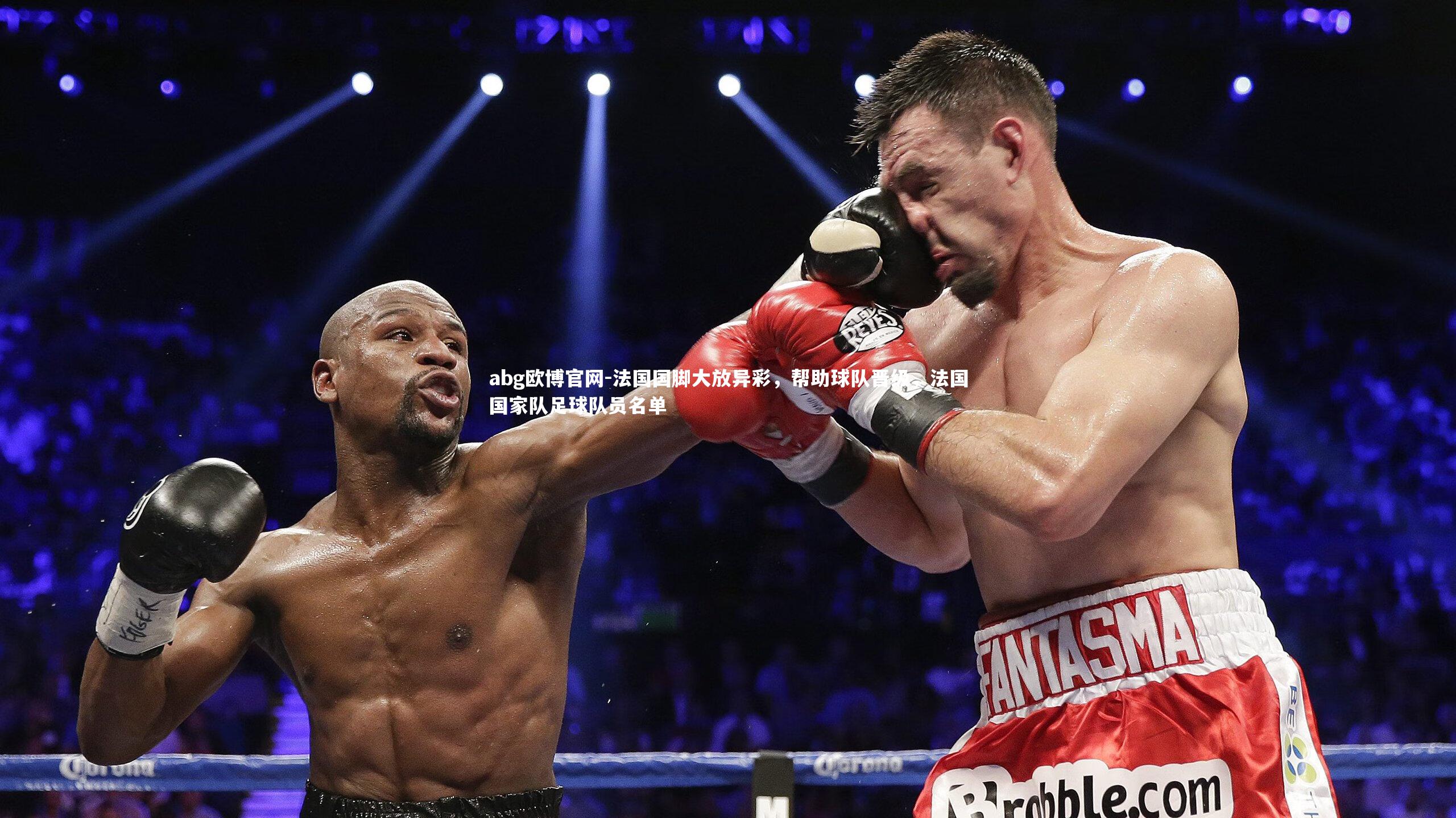 法国国脚大放异彩,帮助球队晋级,法国国家队足球队员名单
