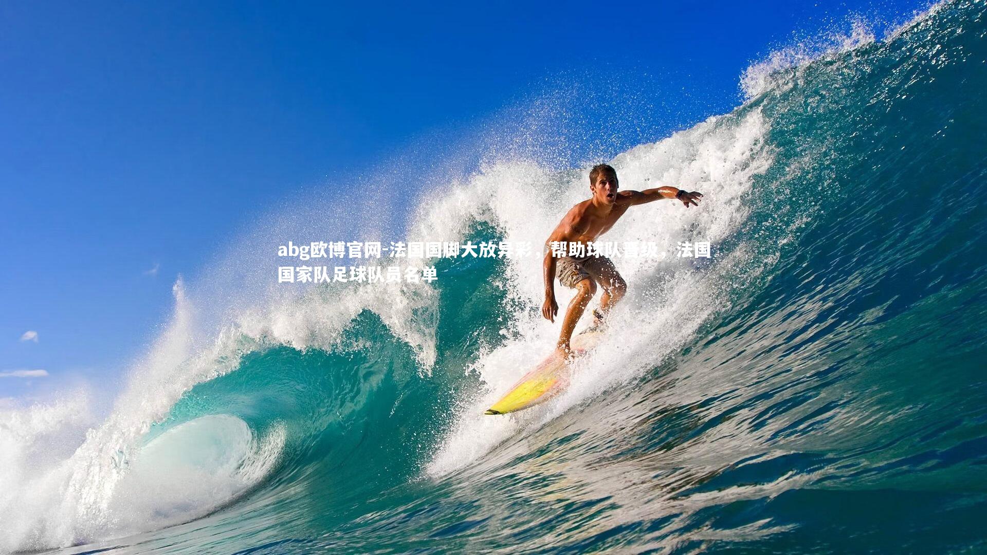 法国国脚大放异彩,帮助球队晋级,法国国家队足球队员名单