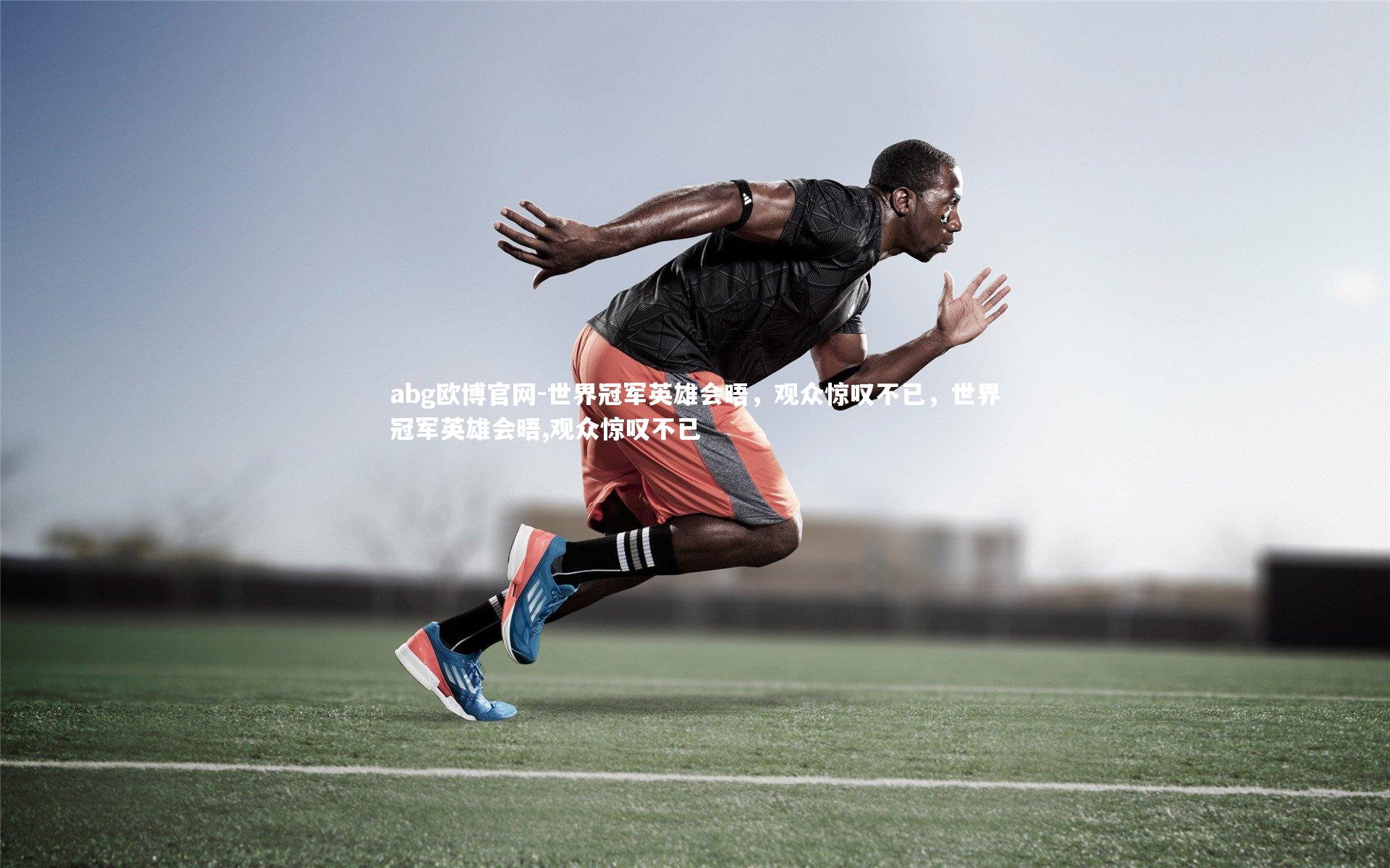 世界冠军英雄会晤，观众惊叹不已，世界冠军英雄会晤,观众惊叹不已